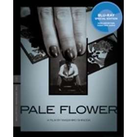 Pale Flower - Criterion Collection (US) (Blu-ray)