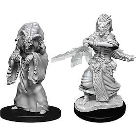 D&D Nolzur's Marvelous Unpainted Miniatures (W14) Night Hag & Dusk Hag