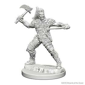 Dungeons & Dragons Nolzur's Marvelous Unpainted Miniatures (W1) Human Male Range