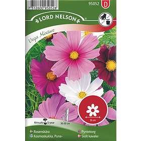 Nelson Garden Rosenskära, Vega Mixture