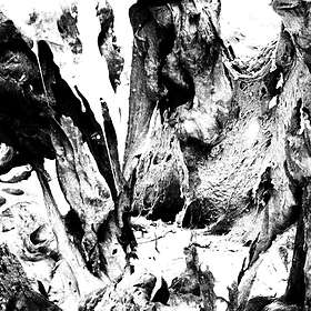 Other Half - Soft Action LP