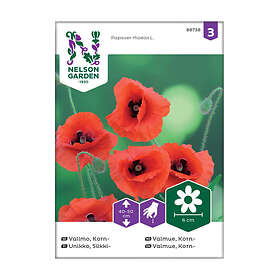 Nelson Garden Frö Kornvallmo Vallmo Korn- 88738