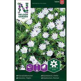 Nelson Garden Fröer Kärleksblomster