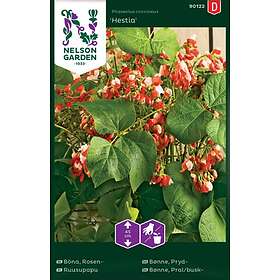 Nelson Garden Blomsterböna 'Hestia' frö