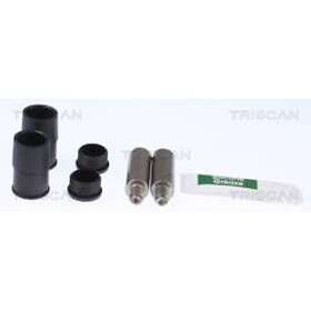 Budweg Caliper styrpinne, bromsok 169205