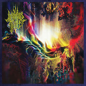 Luminous Vault - Animate The Emptiness LP