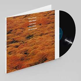 Kenny Wheeler - Gnu High ECM Luminessence Series LP