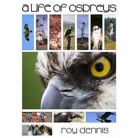 Roy Dennis: A Life of Ospreys