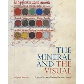 Brigitte Buettner: The Mineral and the Visual