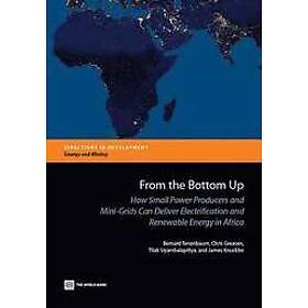 Bernard Tenenbaum, World Bank: From the bottom up