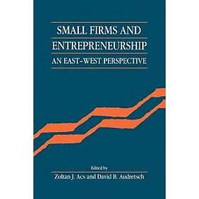 Zoltan J Acs: Small Firms and Entrepreneurship
