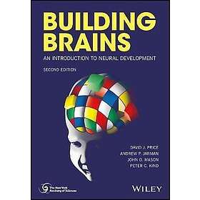 DJ Price: Building Brains An Introduction to Neural Development 2e