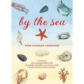 Susan Kelly: By the Sea