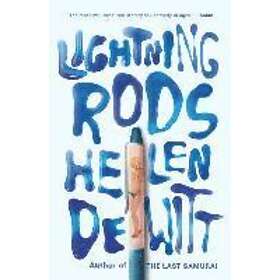 Helen Dewitt: Lightning Rods