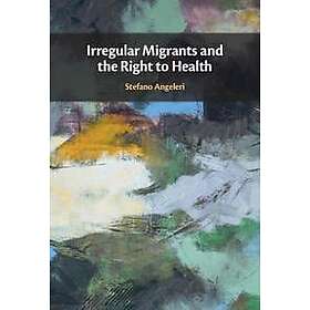 Stefano Angeleri: Irregular Migrants and the Right to Health