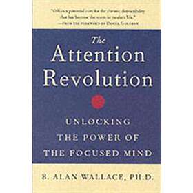 B Alan Wallace: The Attention RE: v.ution
