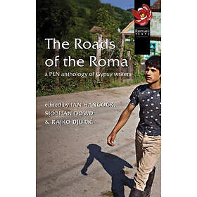 Siobhan Hancock, Siobhan Dowd: Roads of the Roma