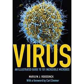 Marilyn J Roossinck, Carl Zimmer: Virus An Illustrated Guide To 101 Incredible M