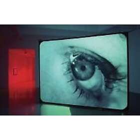 Klaus Biesenbach: Douglas Gordon: Timeline