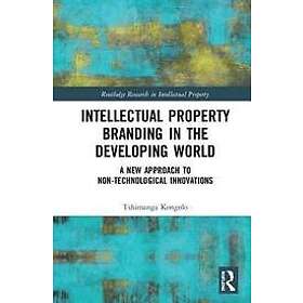 Tshimanga Kongolo: Intellectual Property Branding in the Developing World