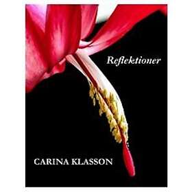 Carina Klasson: Reflektioner