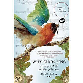 David Rothenberg: Why Birds Sing
