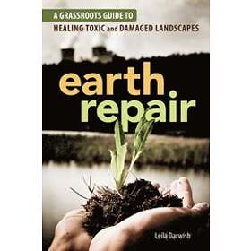 Leila Darwish: Earth Repair