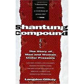 Langdon Gilkey: Shantung Compound