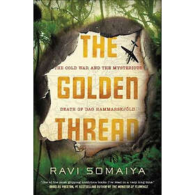 Ravi Somaiya: Golden Thread