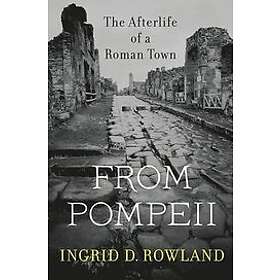 Ingrid D Rowland: From Pompeii
