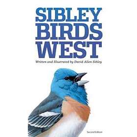 David Allen Sibley: Sibley Field Guide to Birds of Western North America