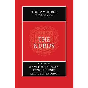 Hamit Bozarslan: The Cambridge History of the Kurds