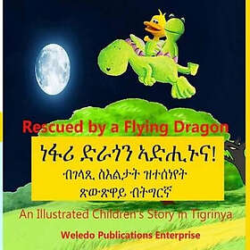 Weledo Publications Enterprise: Rescued by a Flying Dragon: An Illustrated Children's Story in Tigrinya