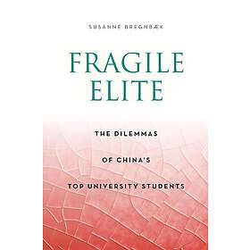 Susanne Bregnbaek: Fragile Elite