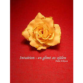 Paula M Eriksson: Intuition en glimt av själen