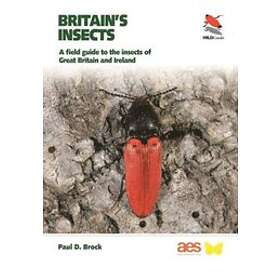 Dr Paul D Brock: Britain's Insects