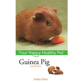 Audrey Pavia: Guinea Pig