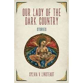 V Sylvia V Linsteadt: Our Lady of the Dark Country