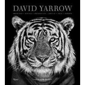 David Yarrow, Tom Brady: David Yarrow Photography