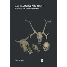 Simon Hillson: Mammal Bones and Teeth