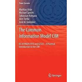 Mathias Uslar, Michael Specht, Sebastian Rohjans, Joern Trefke, Jose M Gonzalez: The Common Information Model CIM