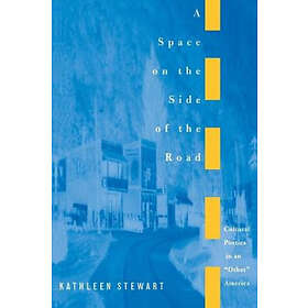 Kathleen Stewart: A Space on the Side of Road