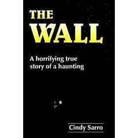 Cindy Sarro: The Wall