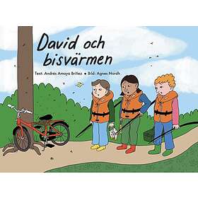 Agnes Nordh: David och bisvärmen