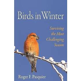 Roger F Pasquier: Birds in Winter