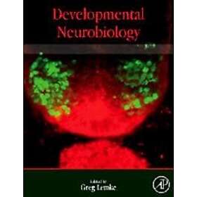 Greg Lemke: Developmental Neurobiology