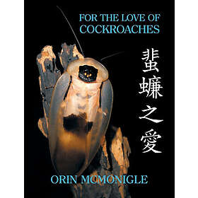 Orin McMonigle: For the Love of Cockroaches