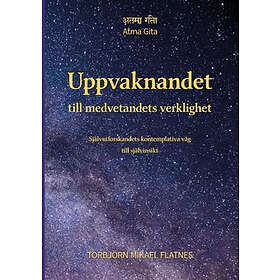Torbjörn Mikael Flatnes: Uppvaknandet till medvetandets verklighet