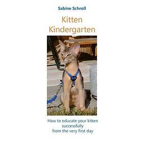 Sabine Schroll: Kitten Kindergarten