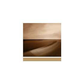 Brian Eno Small Craft On A Milk Sea CD